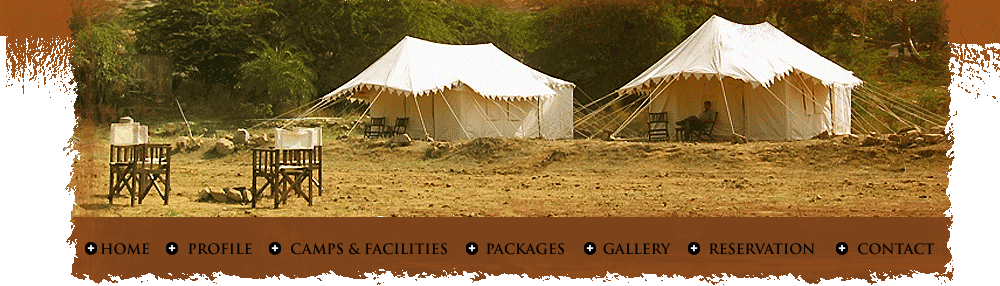 Camel safari, Camel safari in osian, Tents in osian, camping in osian, osian camel camp, Osian Camps, Puskar Camps, Camps in Rajasthan, Desert Camps, Desert Safari, Camps and Safaries Osian, Camps in puskar, Osian Camps, Safari in puskar, Raj Bakshi Jodhpur, Rajasthan with Raj